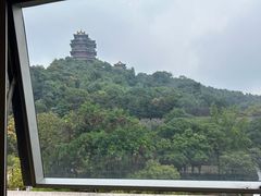 -七欣天香辣蟹火锅(南京建宁路大观天地店)