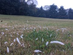 -春兰国宾馆(凤城河风景区老街店)