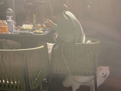 -the rug 飞毯 (朝阳公园店)