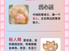 -翊宠yipet猫狗购宠庄园犬舍•猫舍