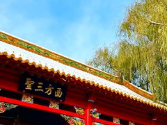 -哈尔滨极乐寺