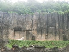 -杭州野生动物世界