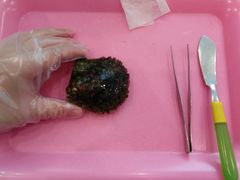 -西海国立公园九十九岛水族馆