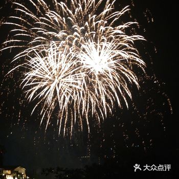 很久很久没看到过烟花啦，今天七夕，对着烟花许个愿吧