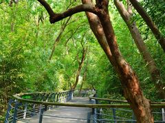 -西湖风景区-江洋畈生态公园
