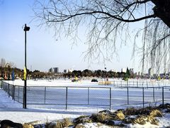 -长春市南湖公园