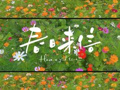 -盈香心动乐园