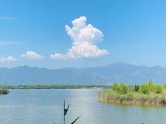 -野鸭湖国家湿地公园