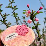 樱花提拉米苏🌸武汉的春日限定粉