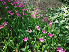 -长春公园(普阳街道)