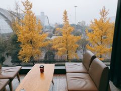 -星巴克(成都机场T2店)