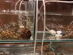 -盐城万豪酒店-盐城厨房西餐厅
