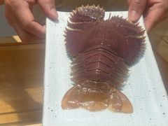 -镹·鱼料理  国产鱼使用店