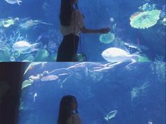 -暹罗海洋世界