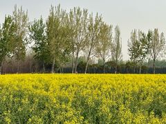 -汉长安城未央宫国家考古遗址公园