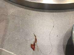 -味仙疯美蛙鱼头(清扬路总店)