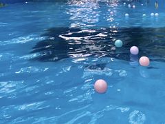 -广州融创水世界