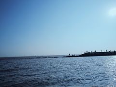 -南汇嘴观海公园