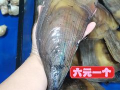 -万尾金滩
