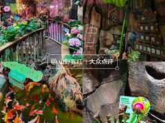 -正佳雨林生态植物园