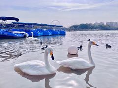 -上海野生动物园