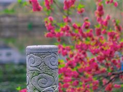 -莫愁湖公园