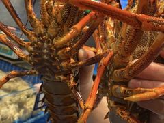 -海月轩海鲜豆捞(紫金塔店)