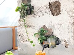 -农畉LONFOOD(福田星河COCOPark店)