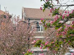 -天津五大道文化旅游区