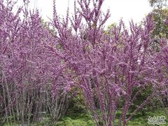 -苏州河梦清园环保主题公园