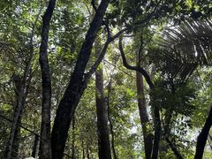 -呀诺达热带雨林