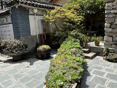 -寂照庵
