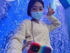 -石家庄海洋公园