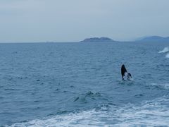 -阿军排档·烧烤