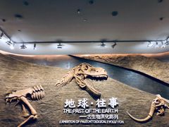 -柳州白莲洞洞穴科学博物馆