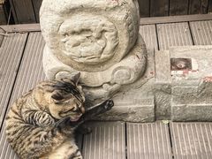 -正阳书局(西四南大街店)