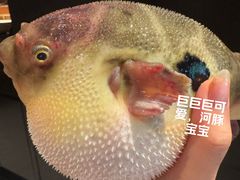 -永安鱼庄·镇江菜(东吴路店)