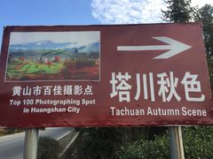 -塔川景区