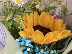 -循礼门鲜花花市(武汉循礼门店)