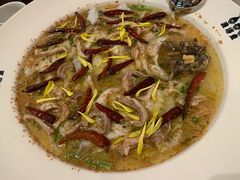 -渔语鱼新川菜Bistro(万象天地店)