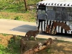 -贵州森林野生动物园
