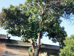 -常家庄园