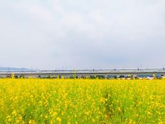 -光明小镇欢乐田园