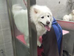-宠福鑫康馨动物医院·骨科·眼科