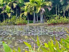 -中国科学院西双版纳热带植物园