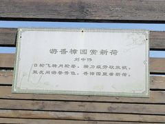 -东山香樟园