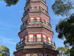 -顺峰山公园