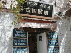 -古树酸奶(八廓南街店)