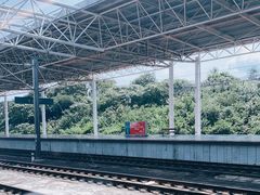 -岳阳东站