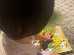 -七田真体验中心(徐东群星城中心)